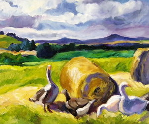 Get Creative - Gansbaai Weekly Inspiration